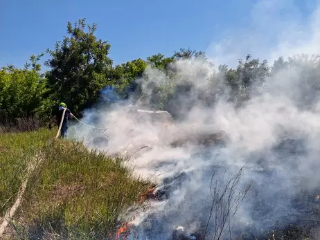 Під Києвом спалахнула пожежа у лісовому масиві