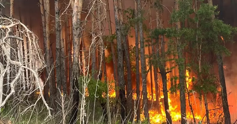 В Харьковской области горят почти четыре тысячи гектаров леса