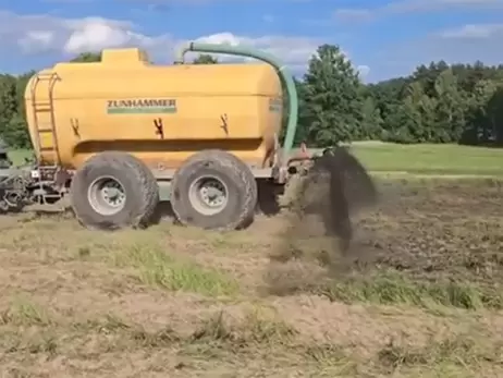 Польські фермери «відлякують» нелегалів з Білорусі свинячим гноєм