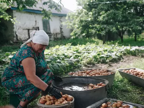 «Циганка», «П'яниця» та «Пікассо»: якими сортами славиться картопляна столиця України