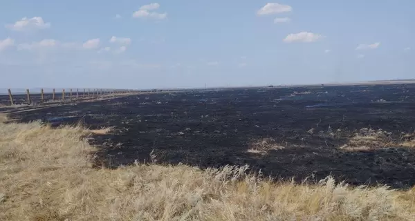 Директор «Асканія Нова»: За період окупації у заповіднику вигоріло понад 7000 га степу