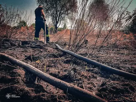 У Чорнобилі горить трава, мешканців Київщині попросили закрити вікна