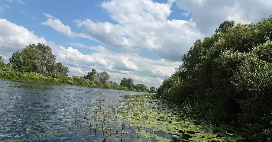 На Сумщині побоюються повторного забруднення річки Сейм – якість води погіршилась