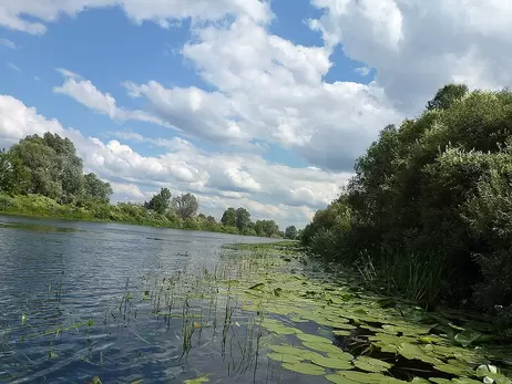 На Сумщине опасаются повторного загрязнения реки Сейм - качество воды ухудшилось