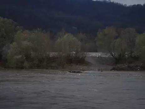 На Закарпатті прикордонники показали, як бурий ведмідь переплив Тису