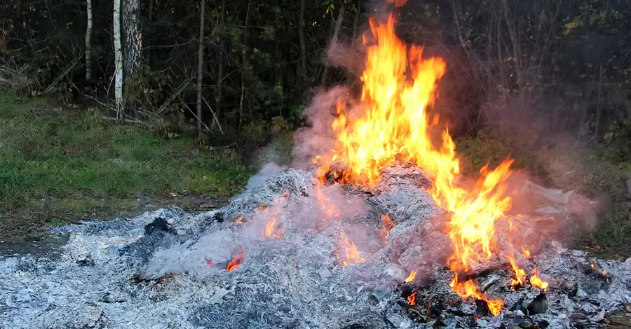 Житомирська поліція спалила 60 кг амфетаміну, опіуму та марихуани