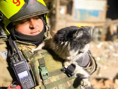 Пожежники врятували кота, який опинився під завалами зруйнованого будинку на Харківщині