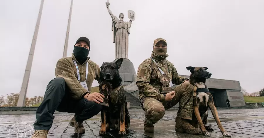 Служебные собаки СБУ Рем и Финч получили награды за защиту Украины