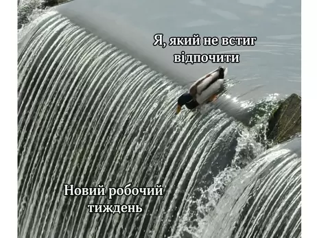 Анекдоти та меми тижня: вихідні мають бути не на свята, а після свят – для відновлення організму