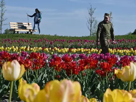 8 Березня в Україні: свято стає все більш непопулярним, але квіти дорожчають 