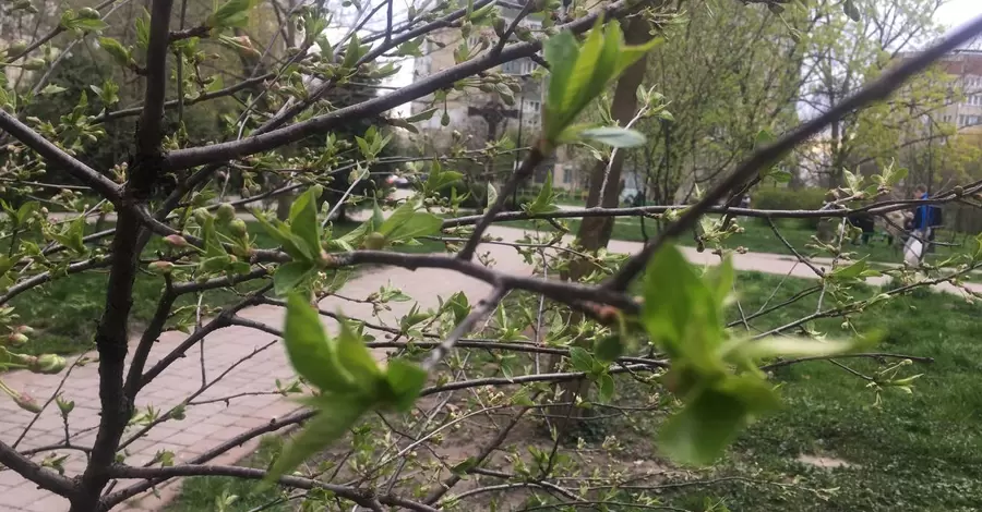 12 березня - яке сьогодні свято, що не можна робити у цей день, традиції і звичаї