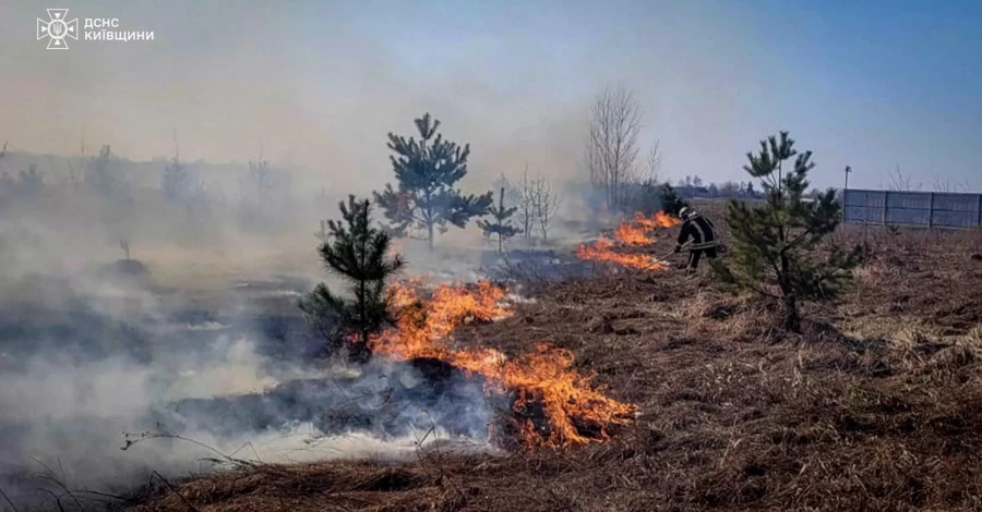 На Київщині бійці ДСНС врятували трьох дітей, яким загрожувала пожежа через випалювання сухостою