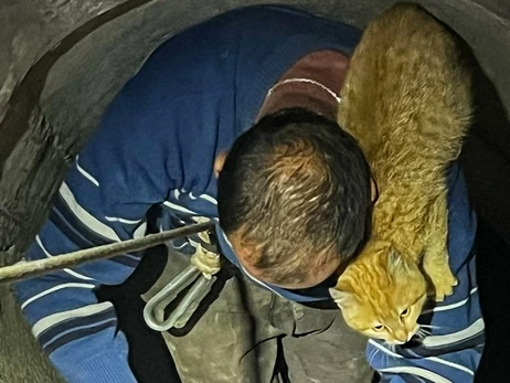 На Львівщині витягнули з криниці чоловіка, який поліз туди за котом