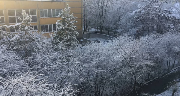 Погода в Украине 11 апреля: холоднее всего будет на западе, а теплее - на востоке