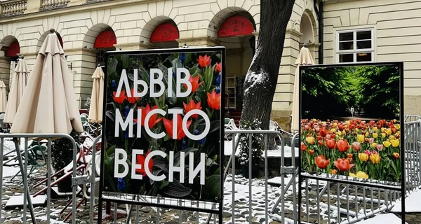 Анекдоти та меми тижня: мало нам Трампа, так ще й сніг у квітні