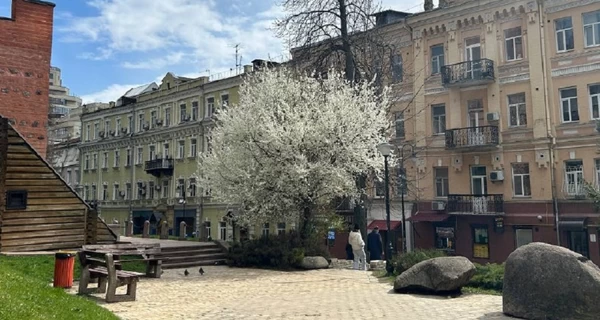 На Вербное воскресенье в Украину наконец-то придет весна - ожидается до +16 градусов