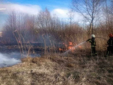 В Киевской области из-за сжигания травы погибли два человека