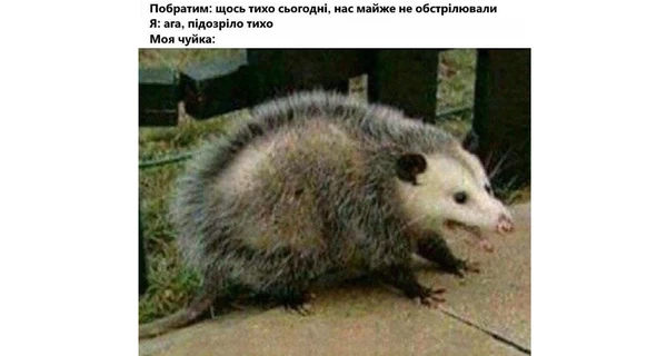 Анекдоти та меми тижня: До роздачі жартів - шикуйсь! Раз-два!