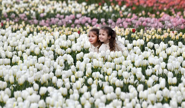 SERGEI SUPINSKY/AFP via Getty Images