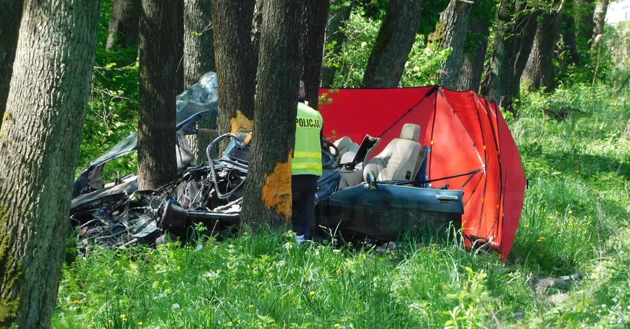 В Польше в ДТП погиб один из богатейших людей Норвегии 