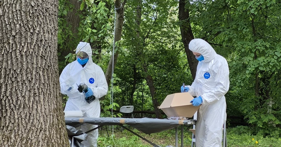 На Тернопільщині виявили останки 42 людей, які могли стати жертвами Волинської трагедії