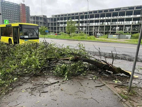 Последствия непогоды в Украине: поваленные деревья, обесточенные города и сожженный молнией дом