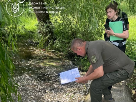 На Житомирщині у річці Случ загинуло 28 тонн риби