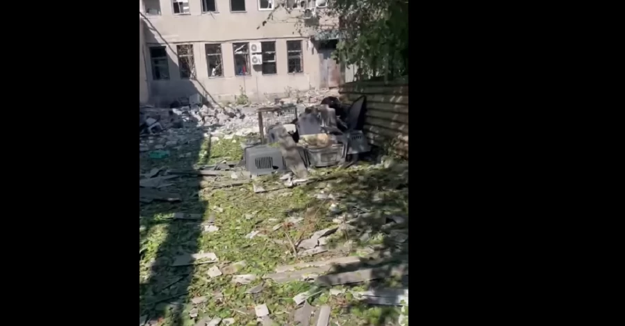 Две российские ракеты попали в клинику приюта для животных в Краматорске