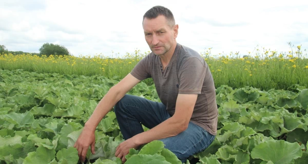 Науковець-селекціонер із Крут, який вивів сорт їстівного лопуха: З нього вийде кава, повидло і голубці