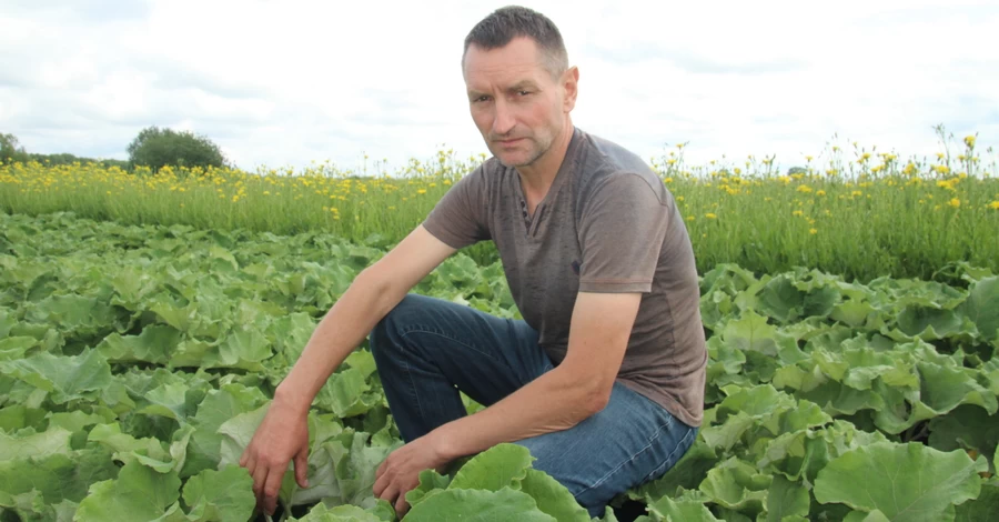 Науковець-селекціонер із Крут, який вивів сорт їстівного лопуха: З нього вийде кава, повидло і голубці
