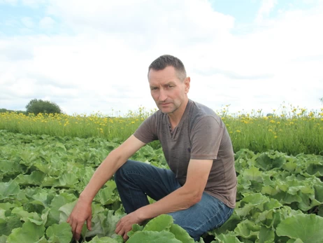 Науковець-селекціонер із Крут, який вивів сорт їстівного лопуха: З нього вийде кава, повидло і голубці