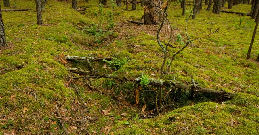 У Чорнобильській зоні знайшли окопи часів Другої світової війни