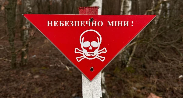 Выход из Оттавской конвенции: Украина уравнивает шансы на защиту в войне с Россией