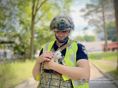 Полицейский спас котенка из-под завалов после обстрела Сумской области