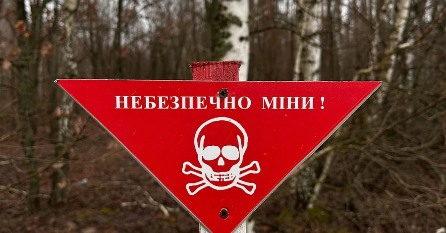 В Николаевской области на побережье взорвалась мина, есть пострадавший