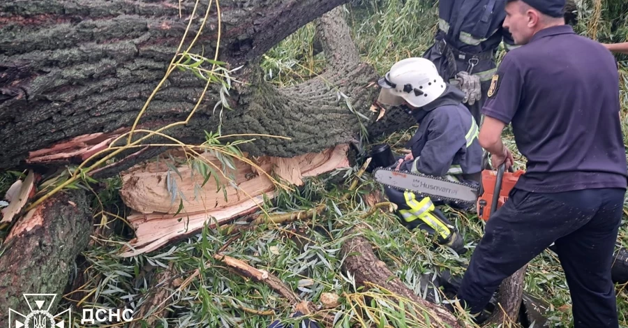 В Одесской области дерево упало на палатку с детьми, погиб подросток