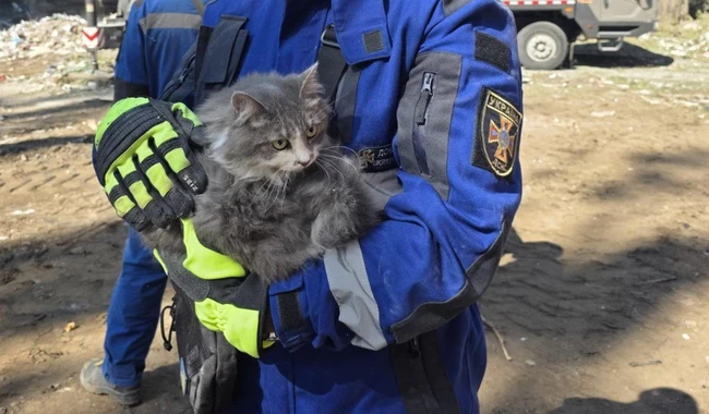 ГСЧС Киева