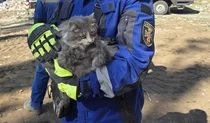 ГСЧС Киева