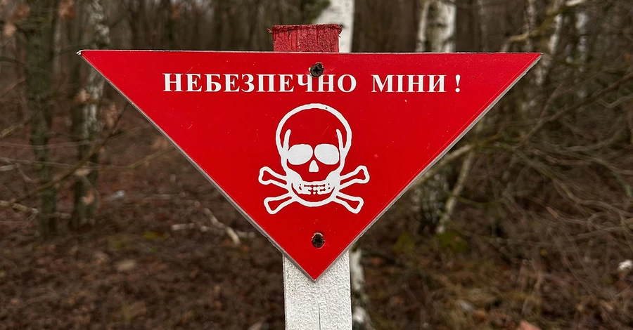 Россияне снова начали разбрасывать по Херсону мины-лепестки: они могут быть разного цвета
