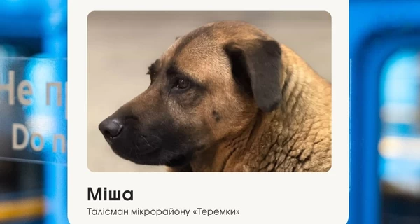 Киевский метрополитен объяснил ситуацию с псом, которого не пустили в укрытие на 