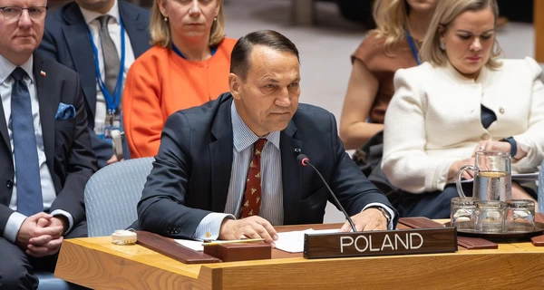 Страны НАТО будут сбивать самолеты РФ, если они нарушат их воздушное пространство, - Сикорский в ООН