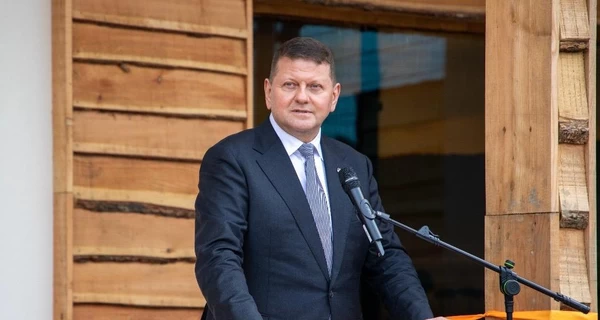 Залужный написал колонку, в которой раскритиковал Курскую операцию