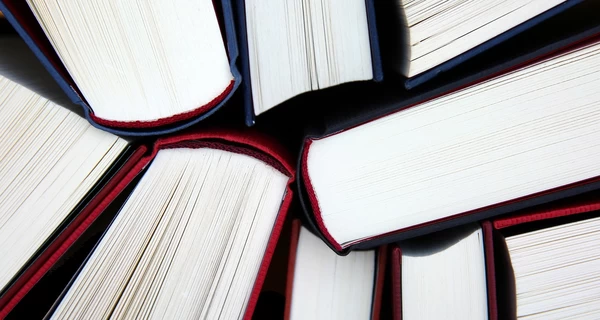 Залужный, Кулеба и Наталья Диденко – кто попал в списки «Книги года BBC-2025»
