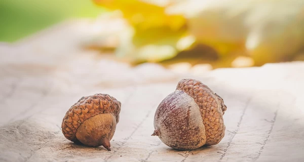 28 сентября - какой сегодня праздник, что нельзя делать, все об этом дне