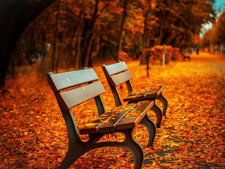 1 жовтня: Покрова Пресвятої Богородиці, День захисників і захисниць та День козацтва, що не можна робити сьогодні