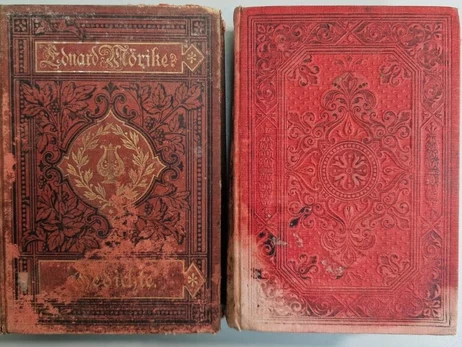 З України намагалися вивезти антикварні книги XIX-XX століть