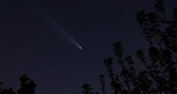 В октябре украинцы смогут увидеть два метеорных потока – Дракониды и Ориониды