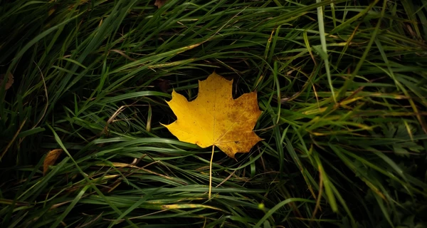 9 октября - какой сегодня праздник, что нельзя делать, все об этом дне