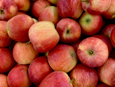 Сочные и полезные: почему важно есть яблоки и как их правильно хранить