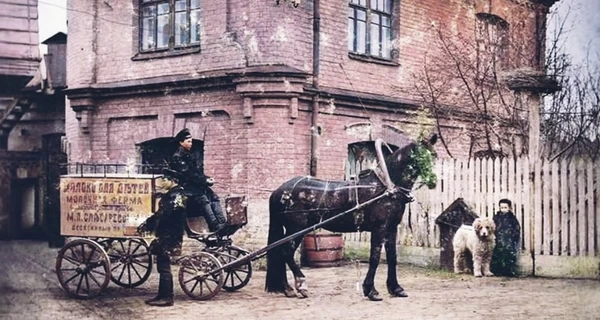 Домашні тварини старого Києва: собак освячували у храмах, а голубів відвозили за місто